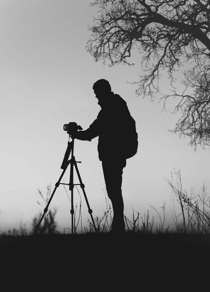 KD photography 