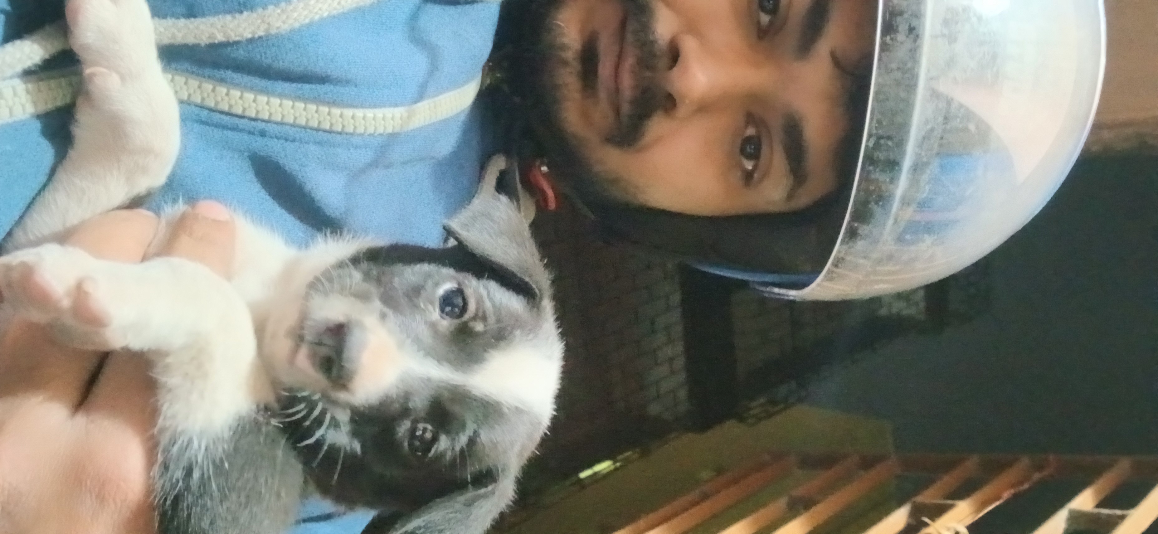 Subhajit  Chakraborty 