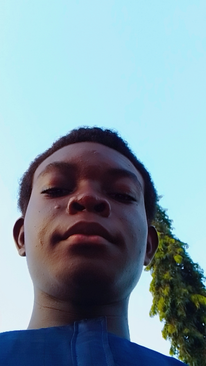 Demilade  Andrew 